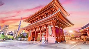 Tokio: City Pass 2021 – Top Sehenswürdigkeiten in Japan | GetYourGuide