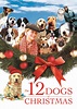 12 Dogs of Christmas | Films | Screen Media Films