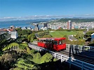 8 MUST DO Wellington Activities | A Complete 1 Day Wellington Itinerary