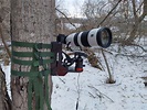 This 'Ultimate' Camera Trap Features a Sony 200-600mm Lens | PetaPixel