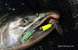 What Is The Best Lure For Salmon Fishing : Best Lures for Salmon ...