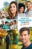 How to Train Your Husband (2018) - Posters — The Movie Database (TMDB)