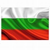 Bandeira Bulgária 1,50X0,90Mt Dupla Face em Promoção na Americanas