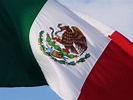 Mexican flag 2 (closeup) Free Photo Download | FreeImages