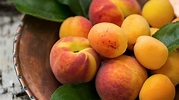 Peaches Vs. Apricots: What's The Difference?
