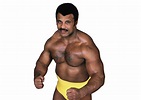Pro wrestling’s ‘Soulman’ Rocky Johnson, The Rock's dad, fought the ...