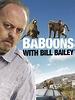 Baboons with Bill Bailey (8 episodes) — Glassbox Productions