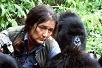 Dian Fossey : biographie, son assassinat, sa passion pour les gorilles