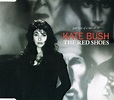 Kate Bush – The Red Shoes (1994, 2/2, CD) - Discogs