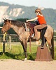 Rauf aufs Pferd - das Aufsteigen - Pferde verstehen