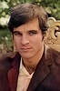 Steve Martin with brown hair (1971) : r/OldSchoolCool