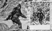 Bigfoot mystery deepens as famous 1967 video of Sasquatch scanned with ...