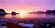 Things to see and do in Oban, New Zealand