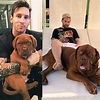 Hulk, conoce el famoso perro de Messi | Dogo de burdeos, Cachorros ...
