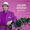 Magalenha (Album Version) [feat. Carlinhos Brown] by Sergio Mendes on ...
