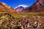 Win a Trip to Mendoza, Argentina | Green Vacation Deals