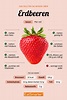 Erdbeeren: Infos & Tipps | EAT SMARTER