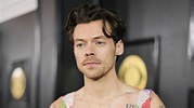 Harry Styles Almost Falls During Grammys 2023 Performance: Video ...