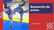 Secuencia de pateo Cinta Blanca Taekwondo #BlueMatAcademy - YouTube