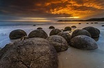 Moeraki Boulders: Strand der steinernen Schildkröten | Neuseeland ...