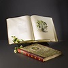 The Highgrove Florilegium | Books | Highgrove Shop & Gardens