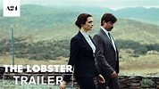 goldinsignedesign: The Lobster Movie Explained