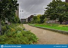 Antiguo Lugar Del Surrey Canal En Deptford Londres Reino Unido Imagen ...
