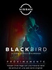 Hoy se estrena Blackbird: la serie de Nissan protagonizada por ...