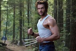 Wolverine - Hugh Jackman as Wolverine Photo (23433679) - Fanpop