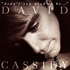 David Cassidy - Didn't You Used To Be... (1992/2018)