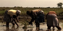 Película Voces desde Mozambique - crítica Voces desde Mozambique