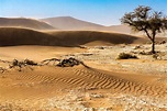 Namib-Wüste Foto & Bild | natur Bilder auf fotocommunity