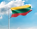 Litauen Flagge online günstig kaufen - Premium Qualität