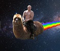 'Putin Rides' memes to be showcased at Dundee exhibition - The Courier
