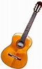 Guitar - Wikipedia