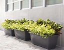 Dylan Rectangular Planters | Crescent Garden-Indoor and Outdoor ...