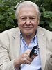 6 Things You Didn't Know About David Attenborough | Woman & Home