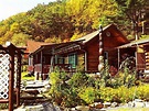 JEONGSEON TONGNAMUJIP (Gangwon-do/Jeongseon-gun, South Korea) - Lodge ...