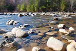Imagen gratis: piedras de río, orilla, costa del río, río, rocas ...