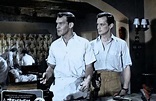 Das Zeichen des Falken (1958) - Film | cinema.de