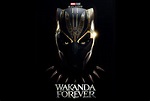 1920x13392 Black Panther: Wakanda Forever HD Fan Art Poster 1920x13392 ...