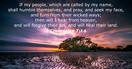 2 Chronicles 7:14 - Bible verse (KJV) - DailyVerses.net