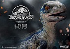 Prime 1 Studio - Baby Blue (Jurassic World: Fallen Kingdom)