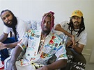 Flatbush Zombies Are for the People | Complex
