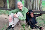 Jane Goodall, l'amiga dels ximpanzés