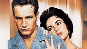 Cat on a Hot Tin Roof (1958) - Backdrops — The Movie Database (TMDB)