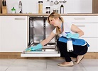 ⊛ Cómo Limpiar Un Lavavajillas por Dentro ⇒ 【¡Trucos!】 ️