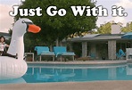 Just Go With It GIFs - Find & Share on GIPHY