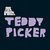 Arctic Monkeys – Teddy Picker (7 Inch Vinyl) | MusicZone | Vinyl ...