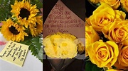 Flores amarillas: ¿Por qué se regalan el 21 de septiembre? | ABC Noticias